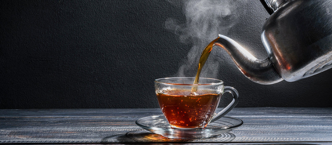 A Better Cup Starts With the Water